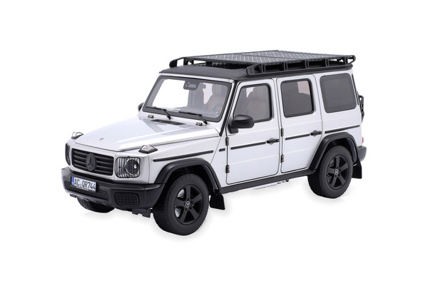 MERCEDES G-KLASSE PROFESSIONAL 2024 SILVER MATT-BLACK